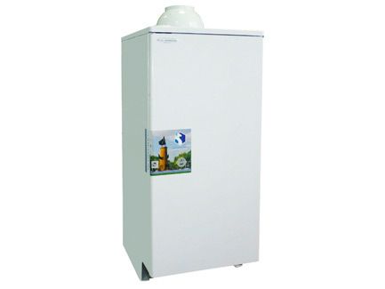 Напольный газовый котел Боринское АОГВ - 29 " MINISIT "