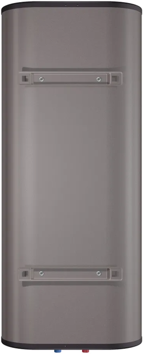Электрический накопительный водонагреватель Thermex Fora 100 (pro) Wi-Fi